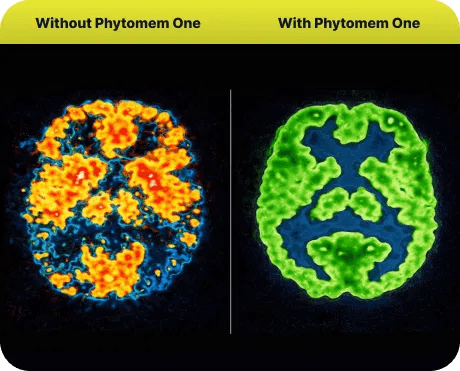 Phytomem One formula and product comparison graphic