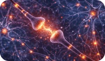 Phytomem One neural support visual